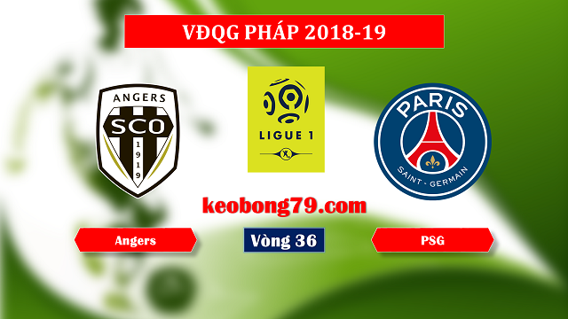 Nhận định soi kèo Angers vs PSG – 22h00 ngày 11/5/2019