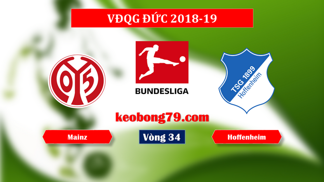 Nhận định soi kèo Mainz vs Hoffenheim – 20h30 ngày 18/5/2019