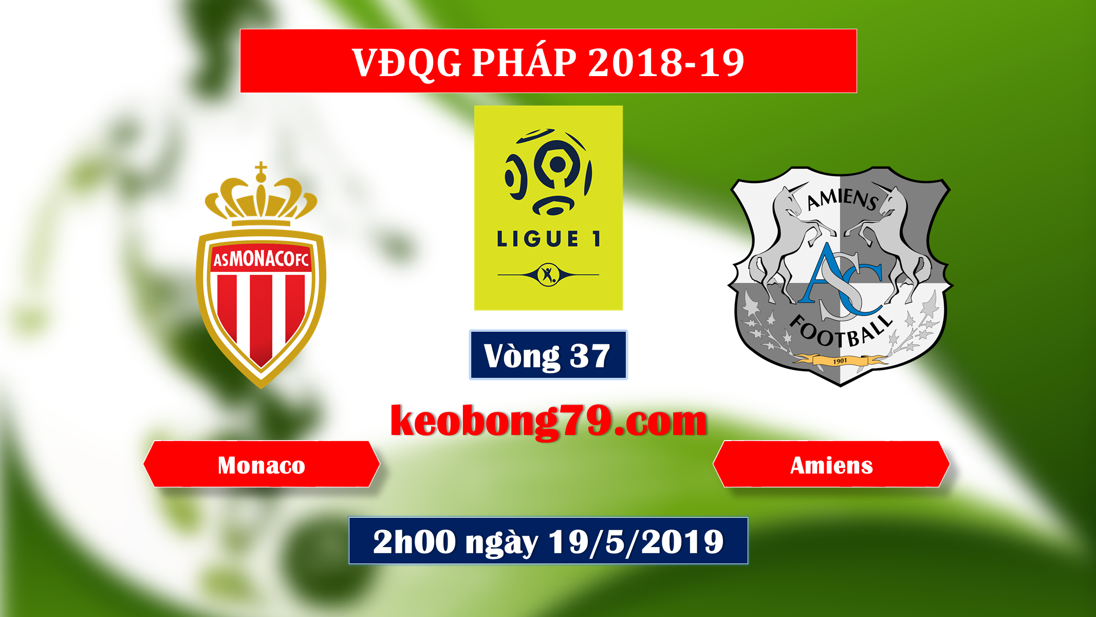 Nhận định soi kèo Monaco vs Amiens – 2h00 ngày 19/5/2019